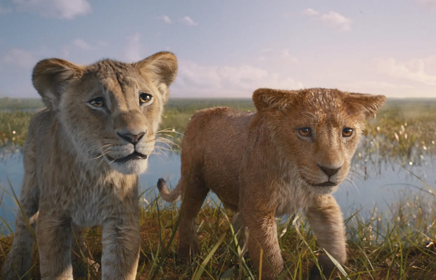 Box Office Italia 20/12 – Mufasa in vetta seguito da Siani/Pieraccioni