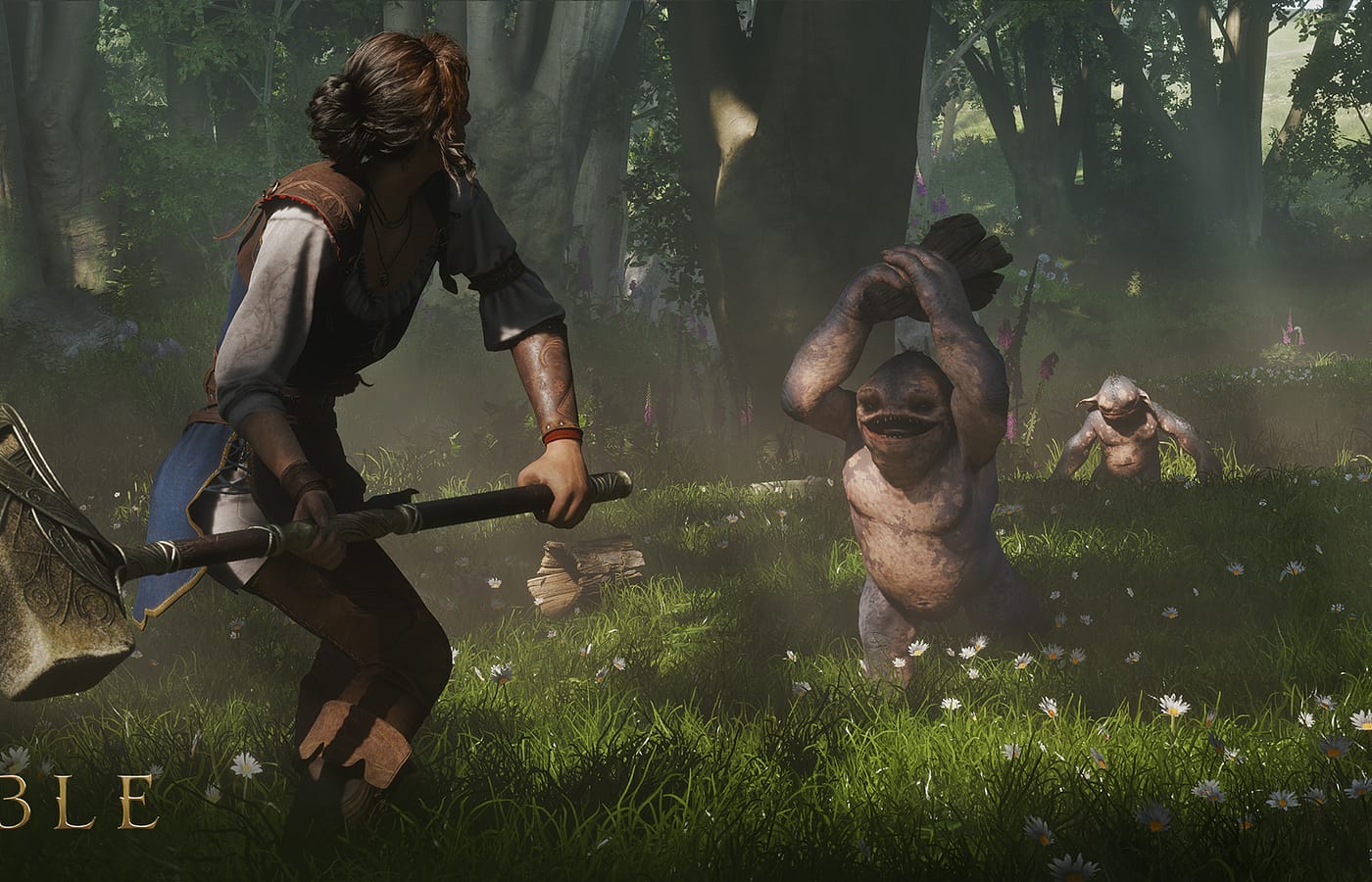 Fable: il punto dopo il Developer Direct