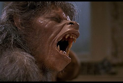 Il remake di Un lupo mannaro americano a Londra è ufficialmente partito