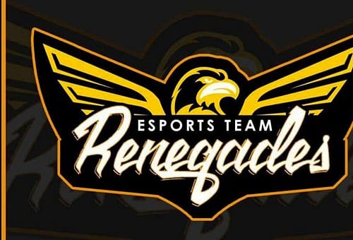 Hearthstone: Ecco i prossimi impegni del Team Renegades