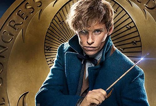 Newt Scamander: la sua espulsione da Hogwarts!