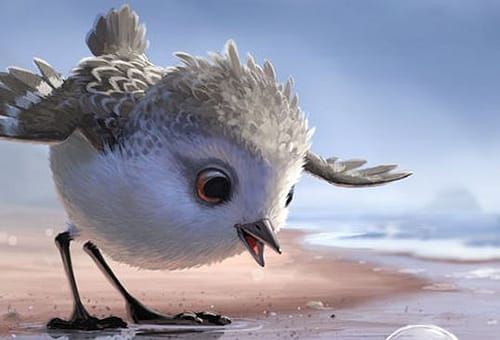 Piper: il nuovo bellissimo corto realizzato da Pixar