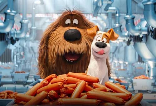 PETS: VITA DA ANIMALI – Recensione