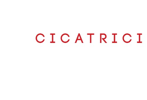 “Cicatrici” di Irene Stella – La recensione