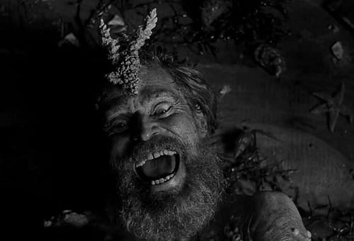 Halloween 2021: ecco 5 film che vi faranno sperimentare la vera paura