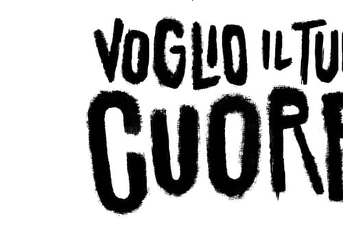 Voglio il tuo cuore: La recensione