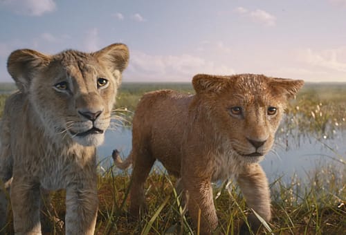 Box Office Italia 20/12 – Mufasa in vetta seguito da Siani/Pieraccioni