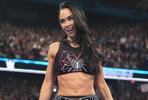 Il ritorno di AJ Lee, WrestlePalooza e Street Fighter
