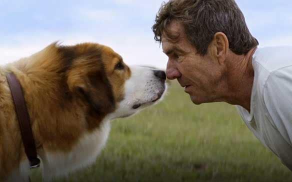 QUA LA ZAMPA! (A Dog’s Purpose) – Recensione