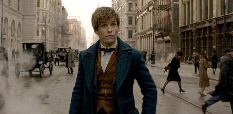 animali fantastici e dove trovarli