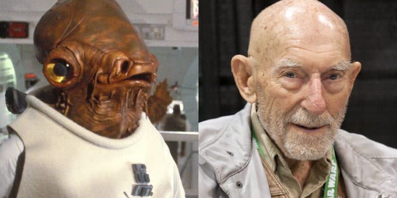 ackbar bauersfeld