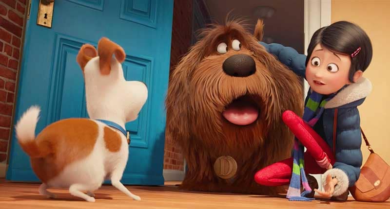 pets vita da animali recensione
