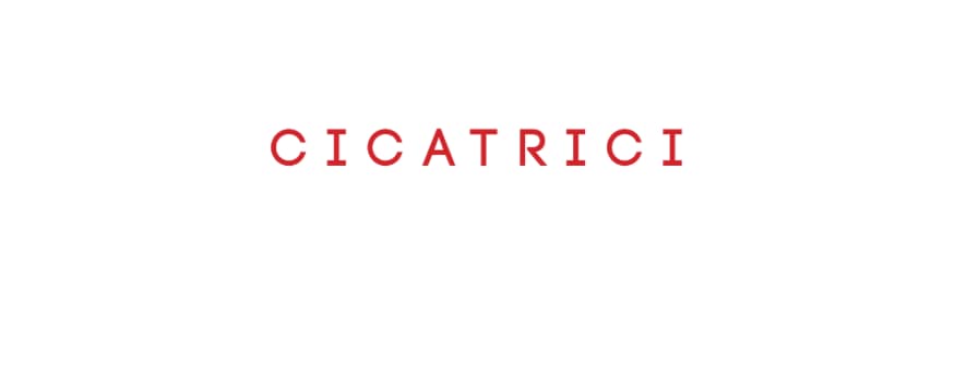 “Cicatrici” di Irene Stella – La recensione