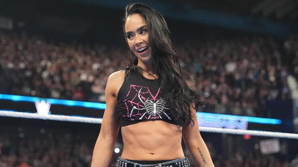 Il ritorno di AJ Lee, WrestlePalooza e Street Fighter